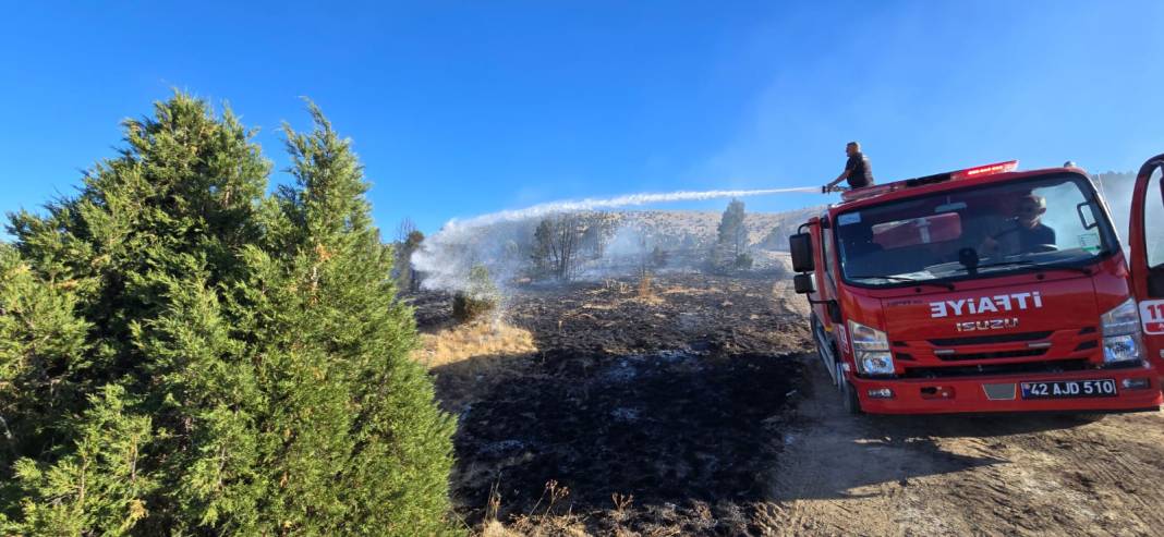 Konya’da piknikçi ateşi ormanı yaktı 6